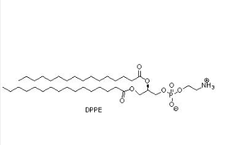 DPPE-PEG-雷替曲塞 