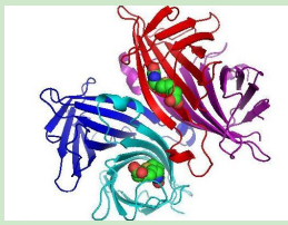 雷替曲塞-聚乙二醇-链霉亲和素 雷替曲塞-聚乙二醇-链霉亲和素