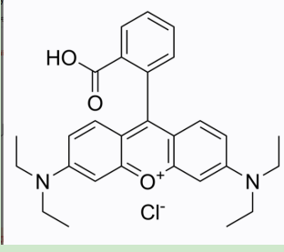 阿奇霉素-聚乙二醇-罗丹明B 阿奇霉素-聚乙二醇-罗丹明B