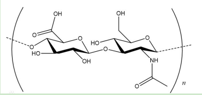 阿奇霉素-聚乙二醇-透明质酸 阿奇霉素-聚乙二醇-透明质酸