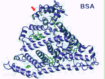 阿奇霉素-聚乙二醇-牛血清白蛋白 阿奇霉素-聚乙二醇-牛血清白蛋白