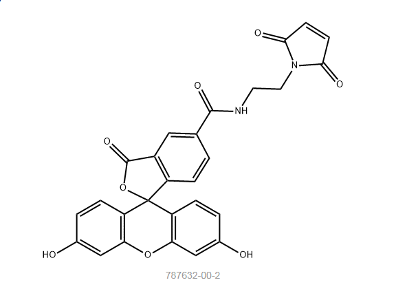 1676948767442586.png image.png