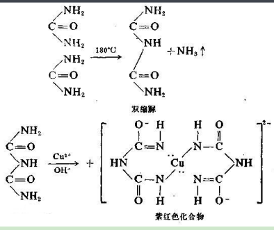 阿奇霉素-聚乙二醇-卵清蛋白 