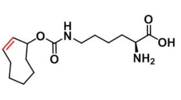cas:1580501-94-5,N-(2E)-TCO-L-lysine,分子量,分子式,纯度 介绍--西安齐岳生物 cas:1580501-94-5,N-(2E)-TCO-L-lysine,分子量,分子式,纯度 介绍--西安齐岳生物