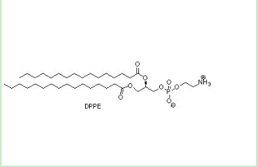 培美曲塞-聚乙二醇-二棕榈酰基磷脂酰乙醇胺 培美曲塞-聚乙二醇-二棕榈酰基磷脂酰乙醇胺