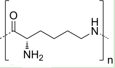 Pemetrexed-PEG-PLL Pemetrexed-PEG-PLL