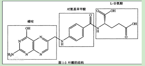 茴香酰胺-聚乙二醇-叶酸 茴香酰胺-聚乙二醇-叶酸