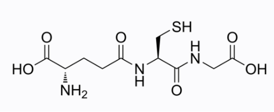 cas:70-18-8 L-Glutathione reduced 