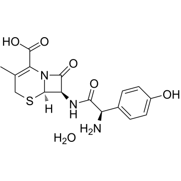 cefadroxil monohydrate cefadroxil monohydrate