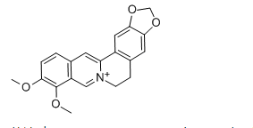 活化氧黄莲素,Berberine,CAS:2086-83-1 活化氧黄莲素,Berberine,CAS:2086-83-1