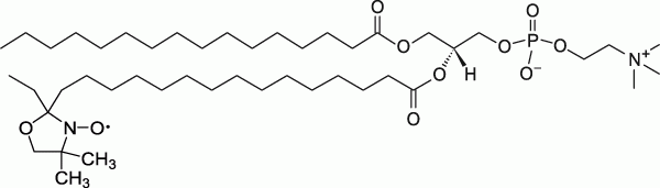 16:0-16 Doxyl PC 16:0-16 Doxyl PC