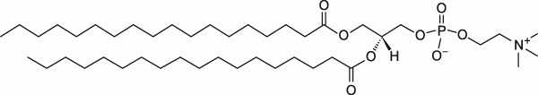 18:0 PC (DSPC)|1,2-distearoyl-sn-glycero-3-phosphocholine|PC磷脂 18:0 PC (DSPC)|1,2-distearoyl-sn-glycero-3-phosphocholine|PC磷脂