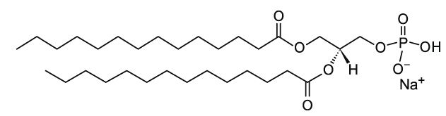 DMPA (14:0 PA) DMPA (14:0 PA)