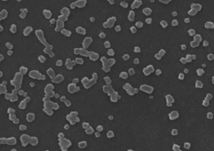 1683774504261181.png 1.png