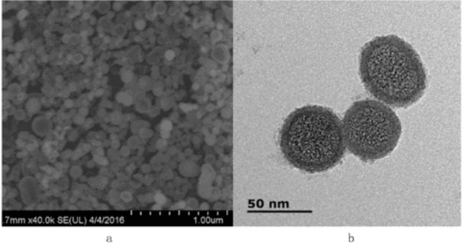 TiO2二氧化钛微球1um TiO2二氧化钛微球1um