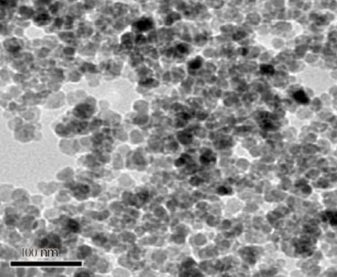 USPIO-CY5.5-SHP099 USPIO-CY5.5-SHP099