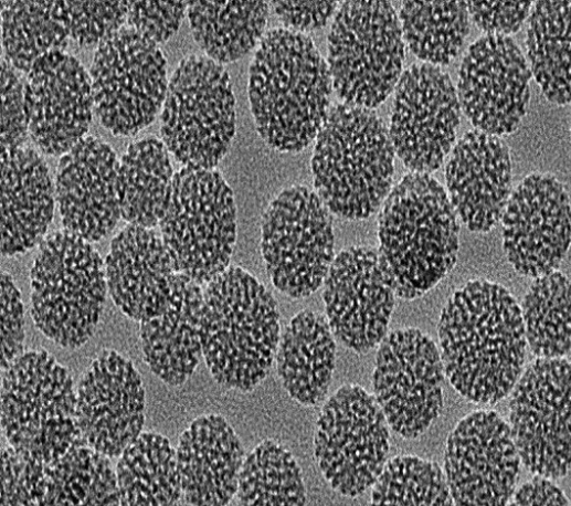羧基化介孔二氧化硅纳米粒子 羧基化介孔二氧化硅纳米粒子