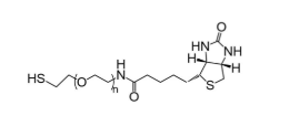 Biotin-PEG-SH,生物素-聚乙二醇-巯基,Biotin-PEG-Thiol Biotin-PEG-SH,生物素-聚乙二醇-巯基,Biotin-PEG-Thiol