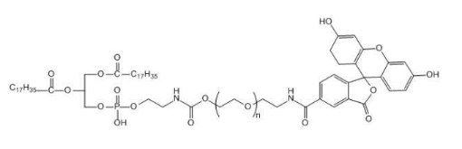 1684398323231222.png 微信截图_20230518162316.png