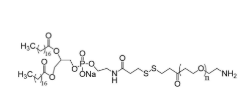 DSPE-SS-PEG-NH2,二硬脂酰基磷脂酰乙醇胺-双硫键-聚乙二醇-氨基 DSPE-SS-PEG-NH2,二硬脂酰基磷脂酰乙醇胺-双硫键-聚乙二醇-氨基