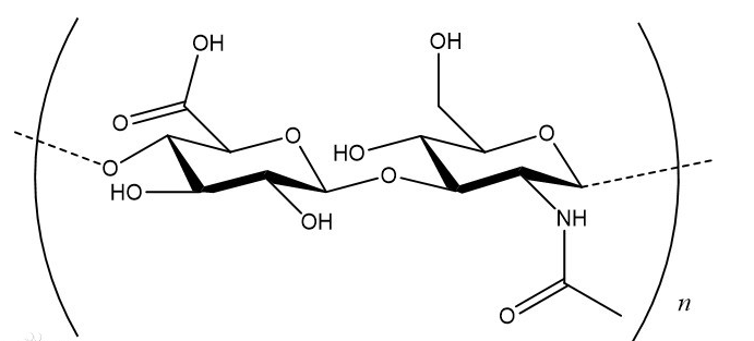 HA10K-生物素