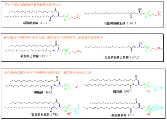 DSPE-PEG-Glucose