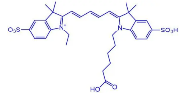 Cy5.5-NHS Cy5-NHS ester 花菁染料CY5标记活化酯齐岳生物提供 Cy5.5-NHS Cy5-NHS ester 花菁染料CY5标记活化酯齐岳生物提供
