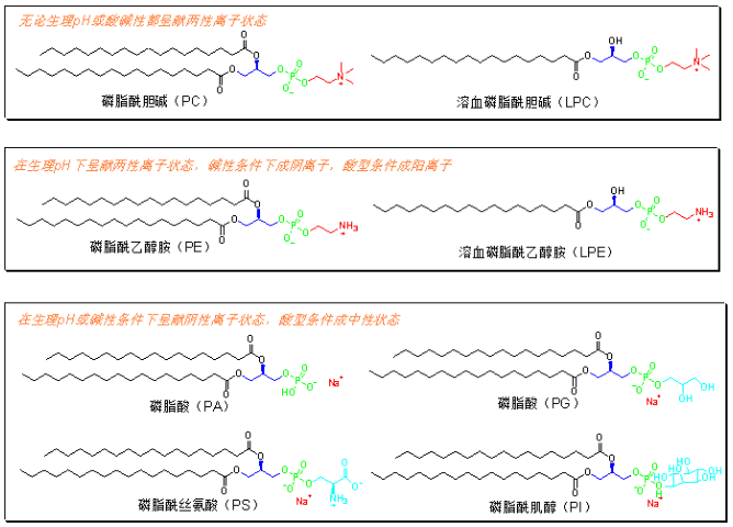 DSPE-PEG-Pt(IV) DSPE-PEG-Pt(IV)