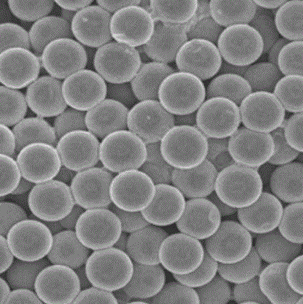 4.5微米氨基磁珠 | 单分散氨基磁珠 micron amino magnetic beads