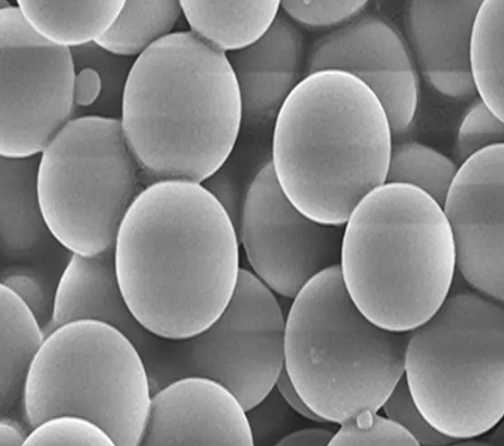 单分散氨基修饰二氧化硅微球 