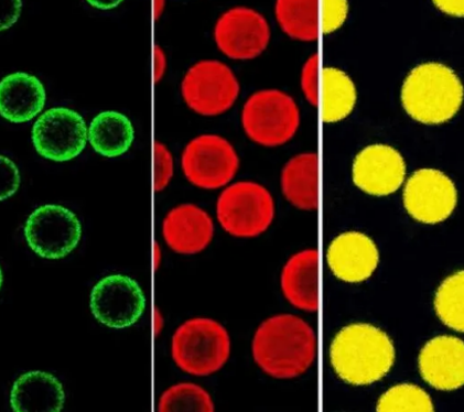 FITC标记二氧化硅荧光微球