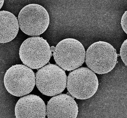 介空二氧化硅微球