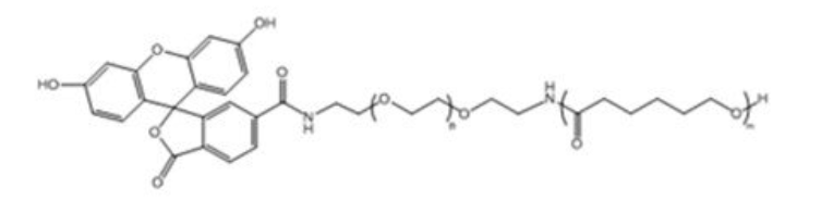 1687855017277851.png 1.png