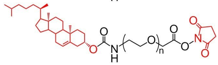 1687922961669063.png 1.png