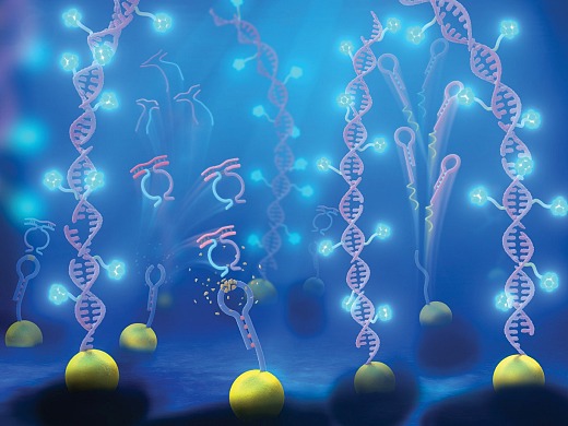 1691569945601196.jpeg 1.jpg