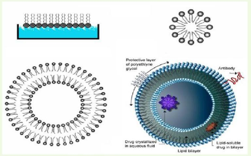 左氧氟沙星PEG脂质体