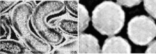 PVA聚乙烯醇纤维膜 PVA聚乙烯醇纤维膜