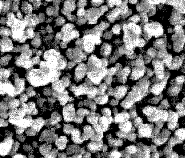 二氧化铈纳米颗粒 二氧化铈纳米颗粒