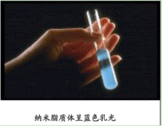 羧基修饰微米脂质体囊泡 羧基修饰微米脂质体囊泡