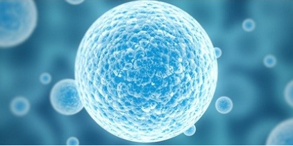 纳米硒载药 纳米硒载药