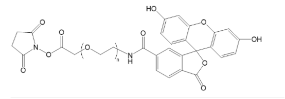 FITC-PEG-NHS FITC-PEG-NHS