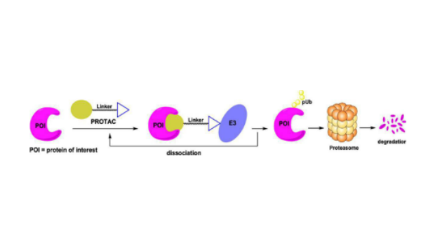 1700038110793858.png 7.19-2-1.png