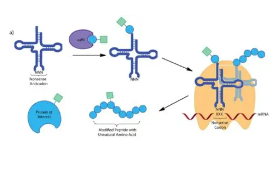 1700101495575579.png 8.png