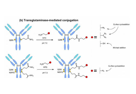 1700101602569721.png 9.png