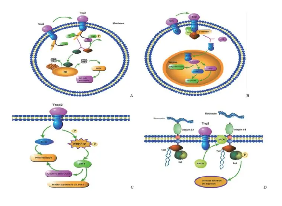 1700106628679971.png 7.png