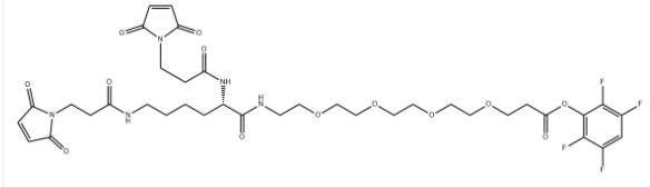 Bis-Mal-Lysine-PEG4-TFP ester