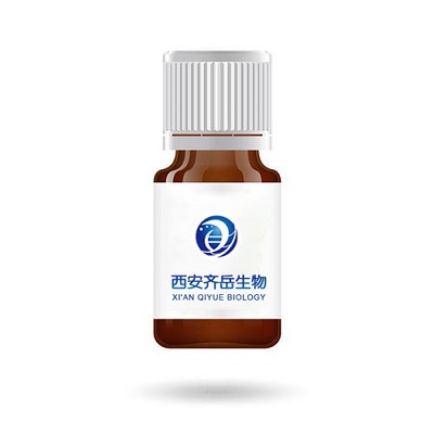 包载盐酸阿霉素(DOX)的磁性热敏脂质体(MTSL)