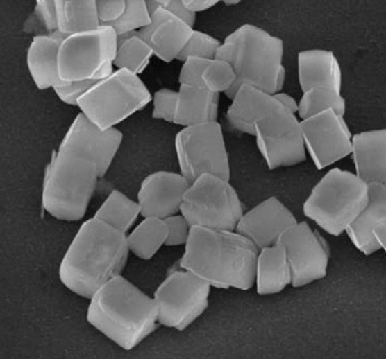 四氧化三铁磁性纳米颗粒稀土上转换复合物 四氧化三铁磁性纳米颗粒稀土上转换复合物