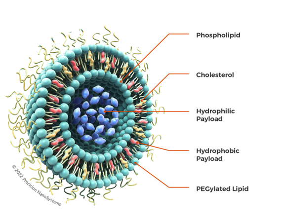 PEG-RGD共修饰脂质体