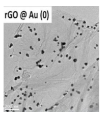 Nanoinnova负载金属纳米金粒子石墨烯